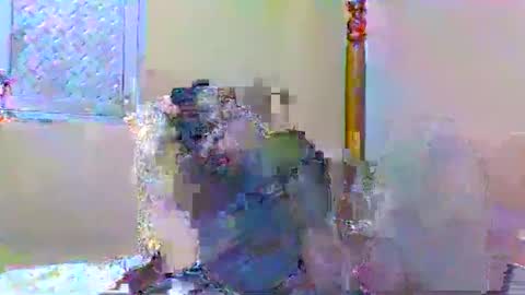 sweetib1 online show from 4, 1, 2025