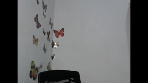 zuri online show from 26, 7, 2026