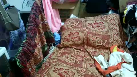 sweetmature_69 online show from 28, 7, 2026