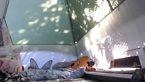 Snapshot of sweetnissapril chatting on 21, 11, 2025 April online show from 21, 11, 2025