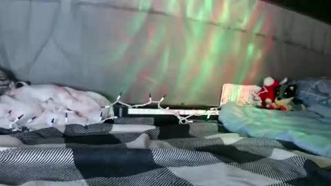 Snapshot of sweetnissapril chatting on 12, 1, 2026 April online show from 12, 1, 2026