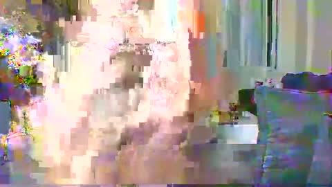 Cute vixen online show from 11, 12, 2024