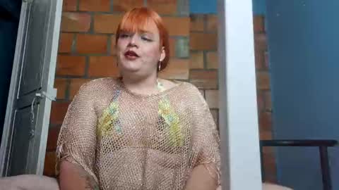 andy online show from 20, 11, 2025