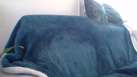 swissride online show from 27, 2, 2025