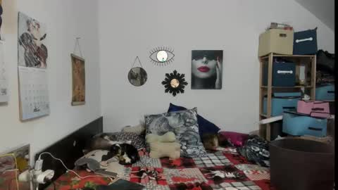 switchlorenx online show from 13, 2, 2026