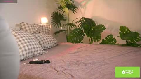 MEI online show from 27, 9, 2025