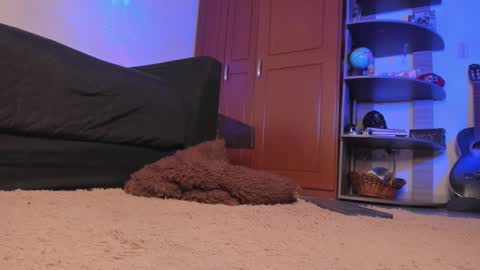 Snapshot of syd_onnfire chatting on 18, 12, 2024 Syd online show from 18, 12, 2024