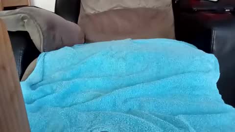 Snapshot of sykotc123292960 chatting on 21, 10, 2025 sykotc123292960 online show from 21, 10, 2025