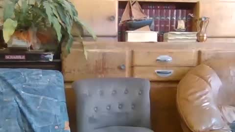 sympa_trique online show from 9, 10, 2025