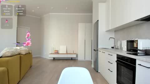 Snapshot of synop_sis chatting on 20, 9, 2025 Mila online show from 20, 9, 2025