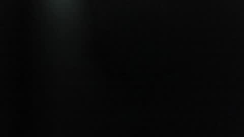 Snapshot of synop_sis chatting on 4, 11, 2025 Mila online show from 4, 11, 2025