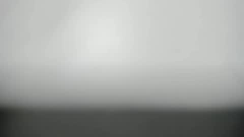 Snapshot of synop_sis chatting on 6, 11, 2025 Mila online show from 6, 11, 2025