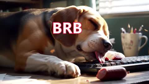 Simon online show from 10, 3, 2026