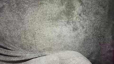 t0ny_cawk online show from 22, 12, 2024