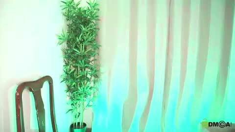 Snapshot of t0ny_wylie chatting on 2, 8, 2026 t0ny_wylie online show from 2, 8, 2026