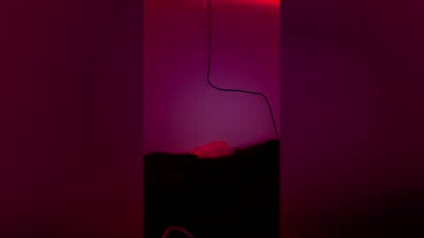 t_wilo online show from 2, 4, 2026