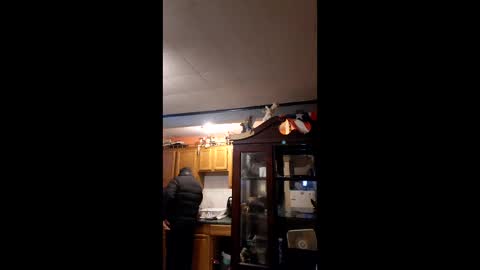 taliban809 online show from 6, 2, 2026