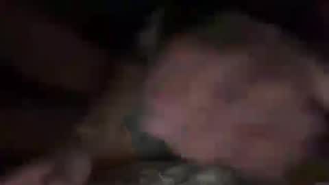 tallandsexyyy online show from 3, 8, 2026