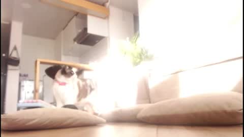 Tamara online show from 14, 9, 2025