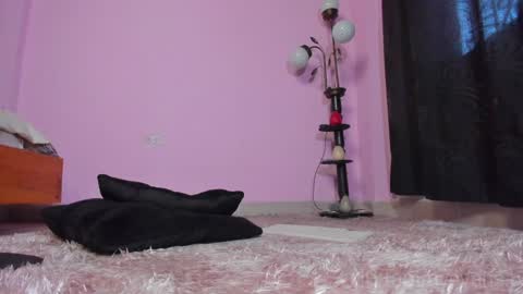 Snapshot of tammy_evans chatting on 23, 1, 2025 TAMARA online show from 23, 1, 2025