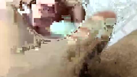 tarek088 online show from 30, 4, 2026