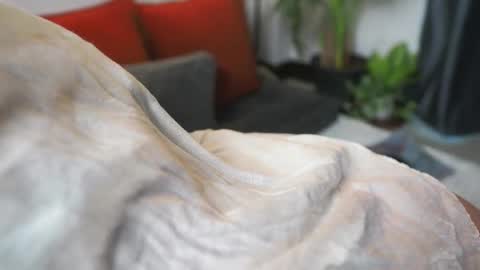 Snapshot of tasty_tomato chatting on 21, 2, 2025 RHEA pronanciation like Reya online show from 21, 2, 2025