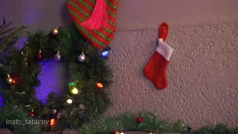 TataCoy online show from 11, 1, 2025