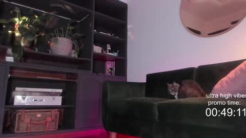 Nathalie Hardy  online show from 2, 12, 2024