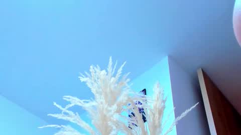 Snapshot of tayler_swift1 chatting on 13, 2, 2026 tayler_swift1 online show from 13, 2, 2026