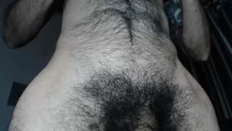 Taylor online show from 26, 11, 2025