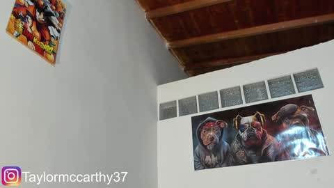 Taylor Mccarthy online show from 25, 1, 2025