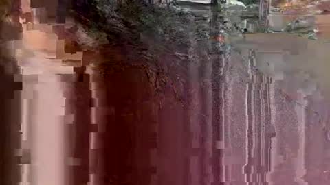 tbaexox online show from 18, 9, 2025