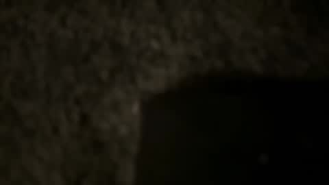 Snapshot of tdnaw chatting on 12, 1, 2025 td 78 online show from 12, 1, 2025