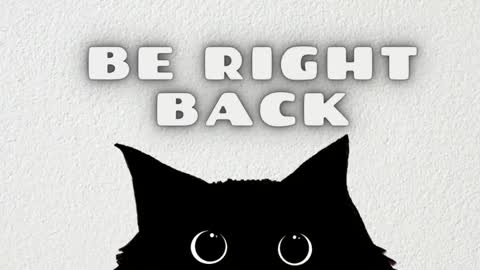 Snapshot of ted_lunn chatting on 9, 1, 2026 Ted online show from 9, 1, 2026