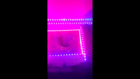 tedestep2 online show from 2, 4, 2026