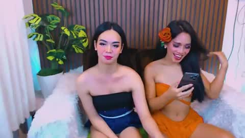 Cherry online show from 28, 7, 2026