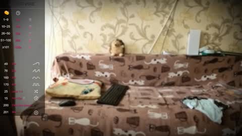 Ada  online show from 10, 1, 2026