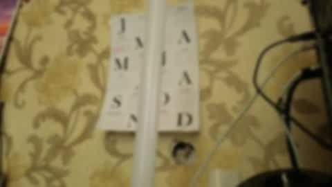 Ada  online show from 25, 4, 2026