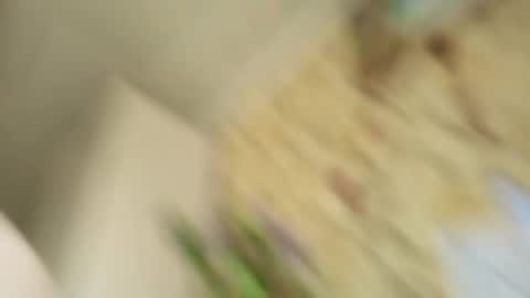 Ada  online show from 27, 4, 2026