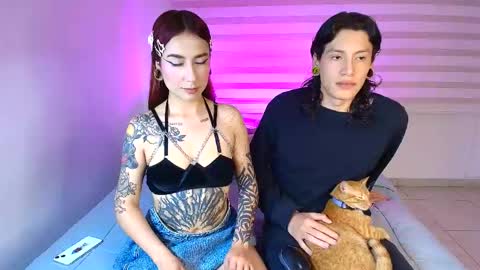 tender_dust online show from 9, 6, 2026