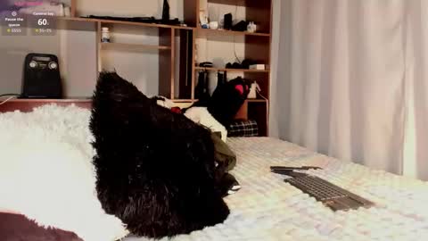 Teo online show from 26, 3, 2026