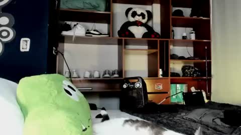 Teo online show from 24, 7, 2026
