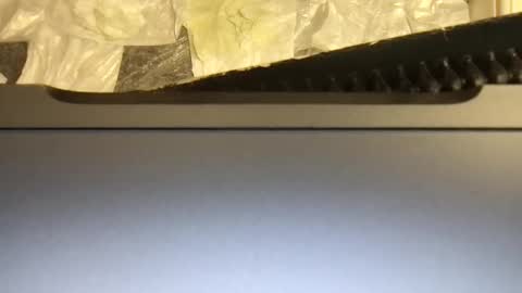 Snapshot of terence00000007 chatting on 9, 11, 2025 Terence online show from 9, 11, 2025