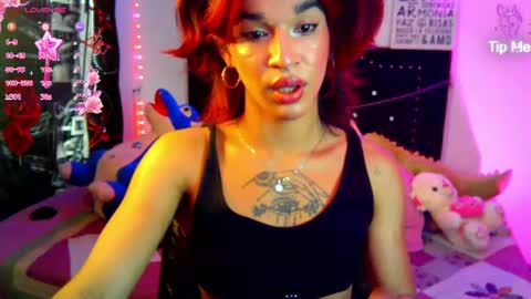 Terra obsession online show from 16, 6, 2026