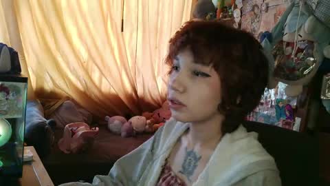 Terra Elowen online show from 4, 4, 2026