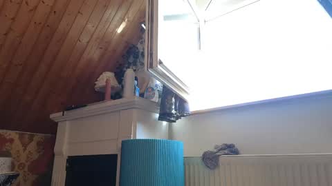 Tessa online show from 26, 4, 2026