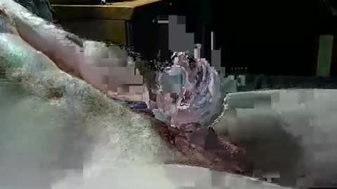 Texas Rose 33 online show from 4, 4, 2026