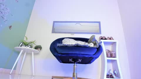 Thais online show from 13, 1, 2025