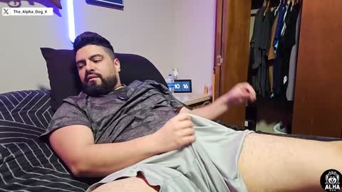 Snapshot of the_alpha_dog_xxx chatting on 6, 12, 2024 the_alpha_dog_xxx online show from 6, 12, 2024