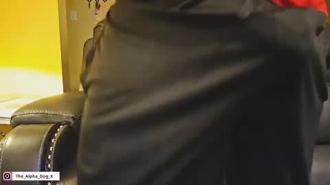 Snapshot of the_alpha_dog_xxx chatting on 15, 12, 2024 the_alpha_dog_xxx online show from 15, 12, 2024